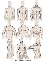 Anatomie